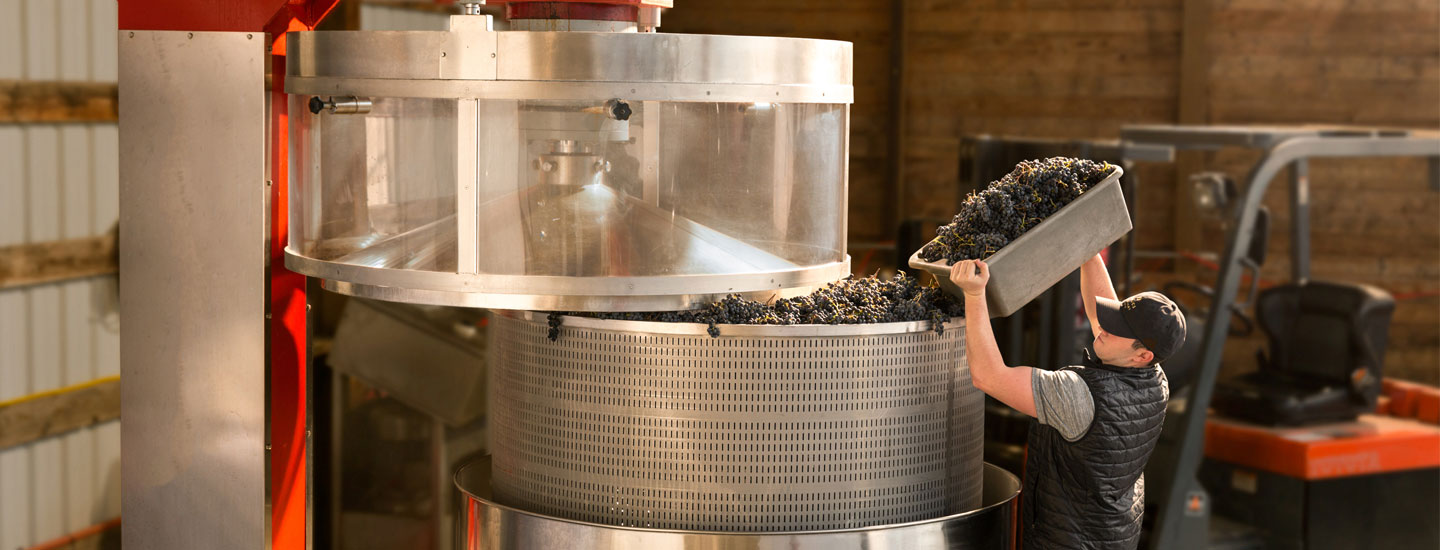 Italics Winery - A basket press exerts 29 pounds of pressure per square inch. And if you’ve ever joined a wine club you know exactly how that feels.